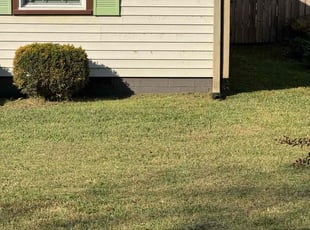 Josh M.'s turf care service result
