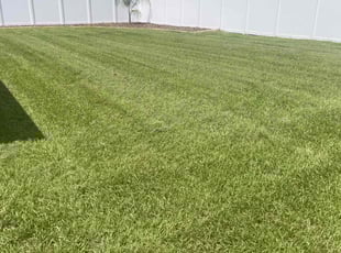 Melanie C.'s lawn maintenance service result