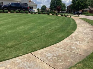 Clara E.'s lawn care service result