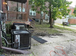 Michael H.'s Long Grass Cleanup service result