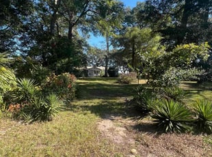 Lisa S.'s lawn care service result