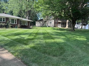 Gary L.'s lawn maintenance service result