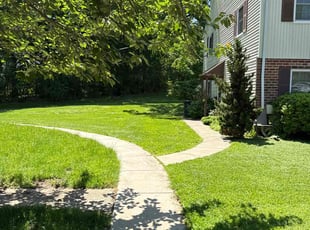 Nydia C.'s grass cutting service result
