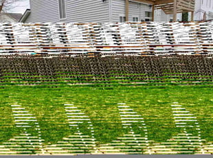 Ted K.'s lawn service service result