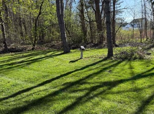 Travis W.'s grass maintenance service result