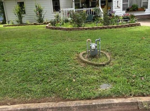Ann H.'s turf care service result