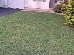 Renee J.'s grass cutting service result