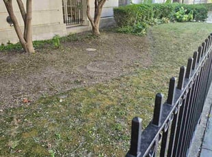 Kyle C.'s lawn maintenance service result