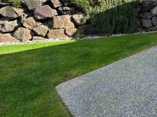Elizabeth G.'s lawn service service result