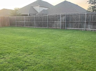 Donel D.'s lawn service service result