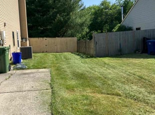 Brittany H.'s lawn care service result