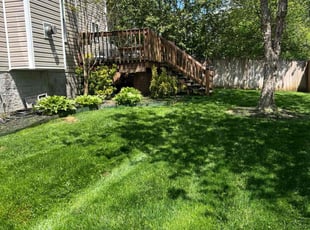 Rhonda B.'s turf care service result