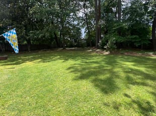 Jimmy F.'s lawn service service result