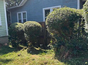 Leondra B.'s lawn maintenance service result