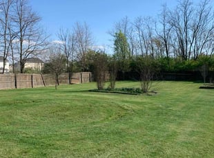 Susan H.'s lawn maintenance service result