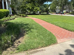 Dung L.'s lawn care services service result