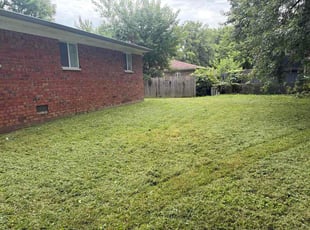 Julija K.'s grass cutting service result