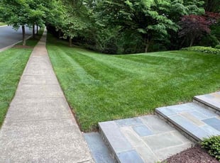 Carlye H.'s landscaping services service result