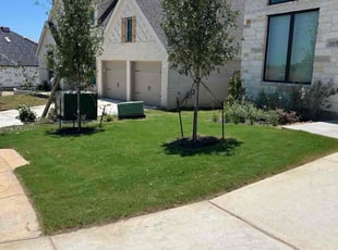 Fany C.'s lawn care services service result