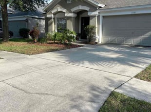 Nyesha K.'s lawn care service result