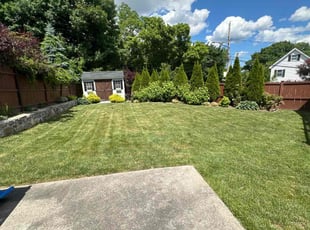 Demetrius S.'s lawn maintenance service result
