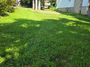 Jack D.'s lawn maintenance service result