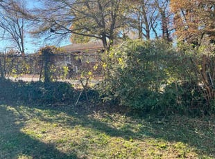 David R.'s grass cutting service result