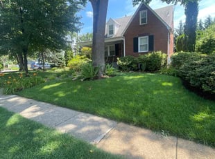 Amanda W.'s lawn service service result