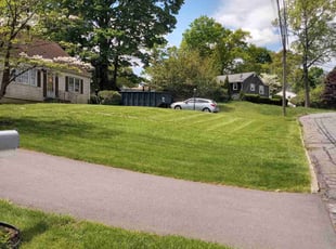 Jordana V.'s turf care service result