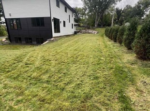Tami M.'s grass maintenance service result