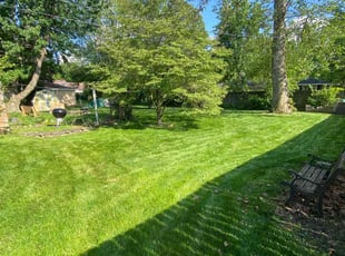 Dan M.'s lawn service service result