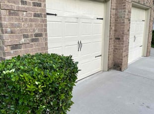 Bridget F.'s Bush Trimming service result