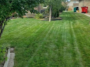 Matt G.'s grass cutting service result