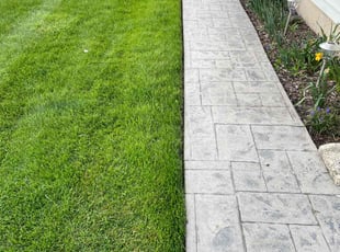 Sydney B.'s lawn care service result