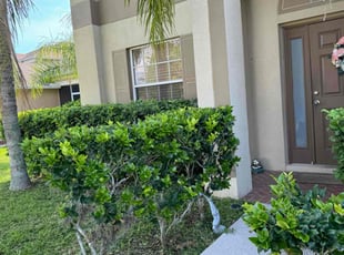 Pam G.'s Bush Trimming service result