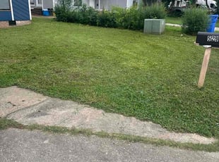 Walterina B.'s lawn care services service result