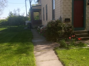 Sadeq H.'s lawn care services service result