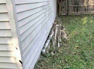 Brittney C.'s Bush Trimming service result