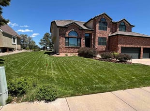 Robert E.'s lawn care service result