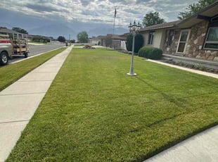 Elena G.'s lawn care services service result