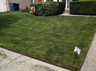 Linda M.'s lawn care service result
