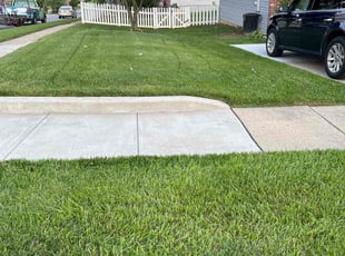 Thomas S.'s turf care service result