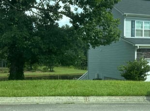 Steve L.'s lawn maintenance service result