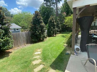 Patricia D.'s turf care service result