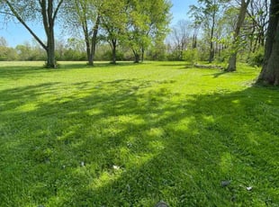 Ben B.'s grass cutting service result