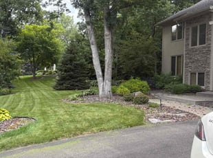 John M.'s Weeding service result