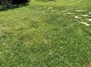 Stacey H.'s lawn care services service result