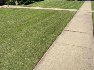 John Y.'s grass maintenance service result
