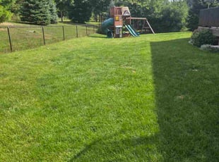 Crystal J.'s lawn care services service result