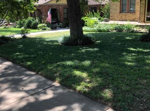Bill S.'s lawn care service result
